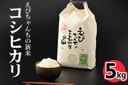 えびちゃんちの米 さくら市葛城産 5Kg ≪令和5年産 米 お米 白米 ご飯