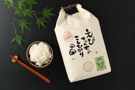 えびちゃんちの米 さくら市葛城産 5Kg ≪令和5年産 米 お米 白米 ご飯