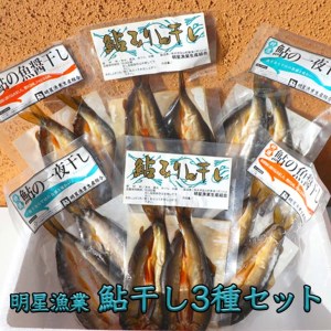 明星漁業 鮎干し3種セット 海鮮 魚介 一夜干し おつまみ 贈り物 プレゼント ギフト 栃木県さくら市 ふるさと納税サイト ふるなび