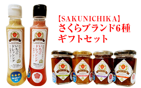 【SAKUNICHIKA】さくらブランド6種ギフトセット｜とちあいか とちおとめ スカイベリー ミルキーベリー 栃木県 さくら市 イチゴ 苺