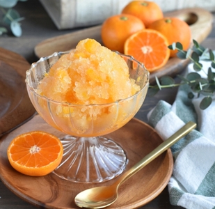 ◆期間限定◆サクレシリーズ3種（12個セット）｜フタバ食品　アイス　かき氷　デザート　スイーツ　※離島への配送不可