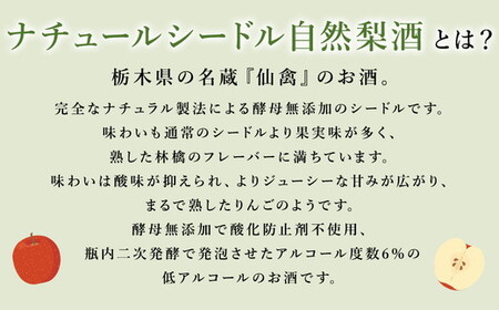 ドメーヌ・パーラー ナチュール シードル 自然林檎酒 750ml｜数量限定 せんきん 栃木県 さくら市 送料無料