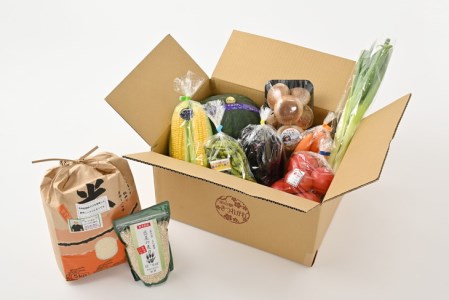 さくら市産の農産物詰め合わせDX 【道の駅きつれがわ】≪野菜 旬の野菜 米 白米 栃木県≫◇