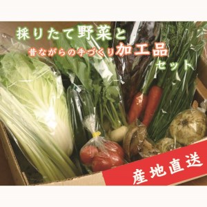 産地直送】採りたて野菜と昔ながらの手づくり加工品セット≪旬の野菜