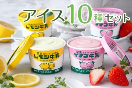 アイス 10種セット アイスクリーム 抹茶 チョコ モナカ サクレ マロン 栃木県さくら市 ふるさと納税サイト ふるなび アイス 10種セット アイスクリーム 抹茶 チョコ モナカ サクレ マロン 栃木県さくら市 ふるさと納税サイト ふるなび