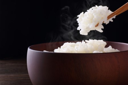 栃木県産 コシヒカリ 玄米24kg【検査1等米・白米へも無料】