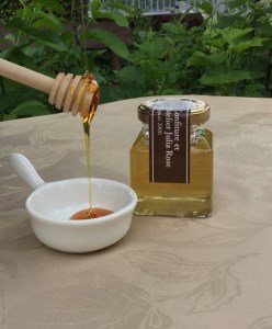 【花の香りを楽しむはちみつセット】さくら市産さくら蜂蜜＆栃木県産百花蜜＆栃木県産蜂蜜お楽しみ1種の3本セット｜はちみつ ハチミツ 自然 味比べ 食べ比べ◇