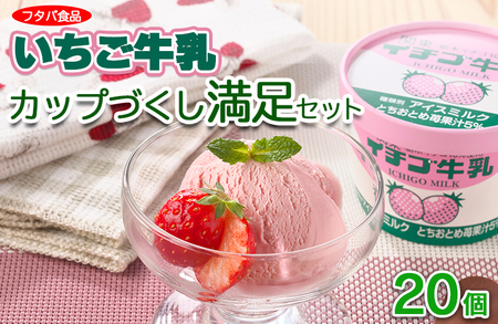 【数量限定】イチゴ牛乳カップづくし満足セット　20個｜アイス デザート ※離島への配送不可◇