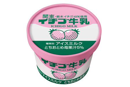 【数量限定】イチゴ牛乳カップづくし満足セット　20個｜アイス デザート ※離島への配送不可◇