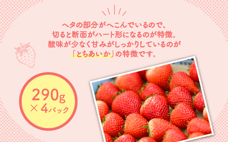 【先行予約】いちご とちあいかセット 290g×4パック（1.16kg以上） ｜いちご イチゴ 苺 先行予約 栃木県 果物 くだもの フルーツ とちあいか 新鮮 贈答 ギフト ※2025年1月上旬～4月中旬頃に順次発送予定