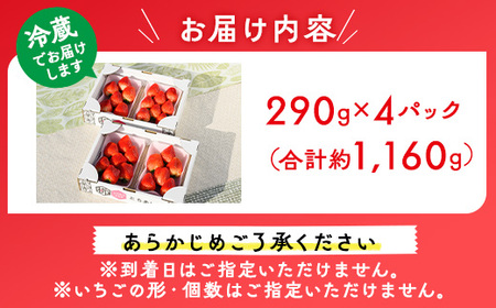 いちご(とちあいか) 290g×4パック 1.16kg以上 | ※2025年11月下旬~2026年3月下旬頃に順次発送予定