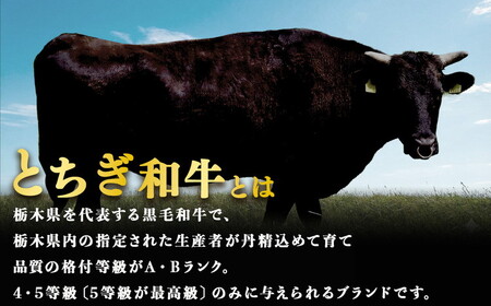 23-4　とちぎ和牛ハンバーグ 200g×8個 ｜ 栃木県 冷凍 個包装 肉汁 牛 ハンバーグ