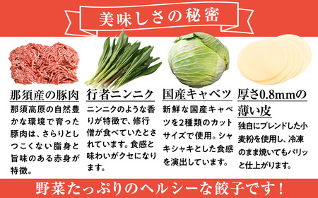 10-16 玉ちゃん餃子3種詰め合わせ