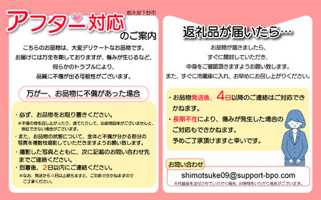 ［2月発送］ 栃木県共通返礼品　JAうつのみや直送  とちあいか |  いちご 果物 甘い フルーツ 産地直送  味覚 デザート お菓子 下野市 栃木県 送料無料