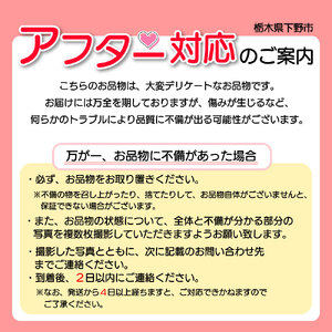 【ふるさと納税】 ［3月発送］ 栃木県共通返礼品　JAうつのみや直送  とちあいか |  いちご 果物 甘い フルーツ 産地直送  味覚 デザート お菓子 下野市 栃木県 送料無料