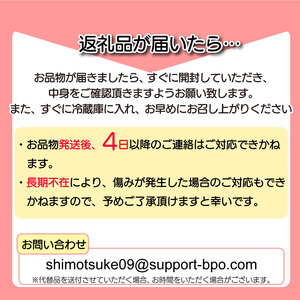 【ふるさと納税】 ［3月発送］ 栃木県共通返礼品　JAうつのみや直送  とちあいか |  いちご 果物 甘い フルーツ 産地直送  味覚 デザート お菓子 下野市 栃木県 送料無料