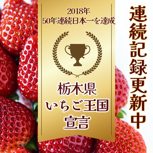 ［2月発送予定］栃木県共通返礼品　JAうつのみや直送  とちあいか |  いちご 果物 甘い フルーツ 産地直送  味覚 デザート お菓子 下野市 栃木県 送料無料