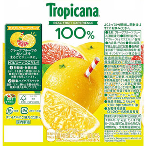 トロピカーナ100％グレープフルーツ 250ml紙パック×24本 | ジュース 飲み物 飲料 栃木県