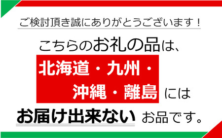 日本一のいちご生産量を誇るJAはが野が厳選 とちあいか平パック2P