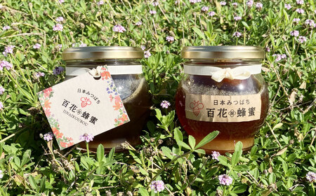 日本蜜蜂の百花蜂蜜(2瓶) | 栃木県 下野市