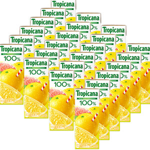 【6回定期便】トロピカーナ100％グレープフルーツ 250ml紙パック×24本 | 栃木県 下野市