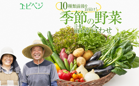 下野市産 エビベジ季節の野菜詰め合わせ（小） | 栃木県 下野市