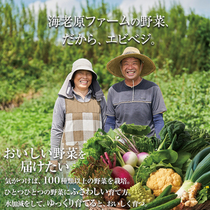下野市産 エビベジ季節の野菜詰め合わせ（小） | 栃木県 下野市
