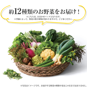 下野市産 エビベジ季節の野菜詰め合わせ（大）  | 栃木県 下野市