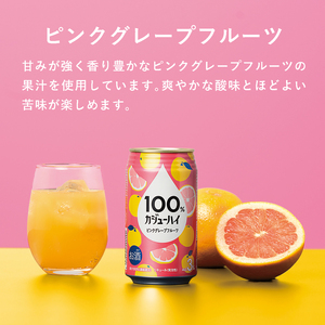 【定期便6回】100％カジューハイピンクグレープフルーツ 340ml × 144本 | 栃木県 下野市