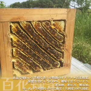 【定期便3回】 日本蜜蜂の百花蜂蜜（1瓶）  | 栃木県 下野市