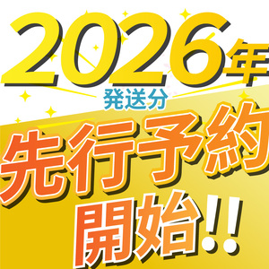【先行予約】【2026年9月より順次発送】梨 秋月 3kg | | 栃木県 下野市