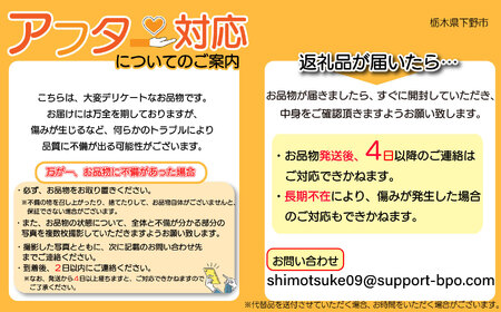 【先行予約】【2026年9月より順次発送】梨 秋月 3kg | | 栃木県 下野市