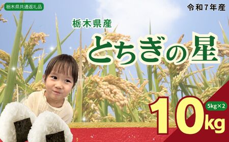 栃木県産 とちぎの星 10kg（5kg×2袋）【栃木県共通返礼品】AB | 栃木県 下野市