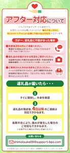 【先行予約】栃木県共通返礼品 とちあいか 260g×4パック 2026年1月~ | 栃木県 下野市