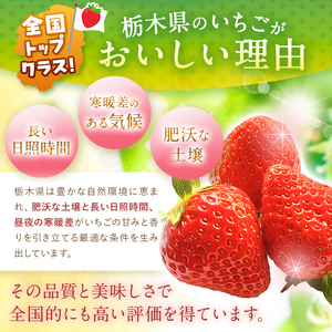 【先行予約】栃木県共通返礼品 スカイベリー 280g×4パック 2026年1月~ | 栃木県 下野市