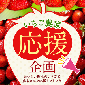 苺 訳ありいちご　サイズランダム 1kg以上【先行予約】【栃木県共通返礼品】 | 栃木県 下野市