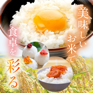 【6回定期便】栃木県産 とちぎの星 20kg | 栃木県 下野市