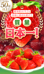 苺 スカイベリー いちご【化粧箱入り】 | 栃木県下野市