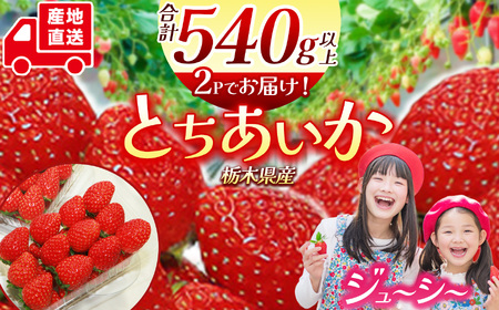 苺 とちあいか | 栃木県下野市