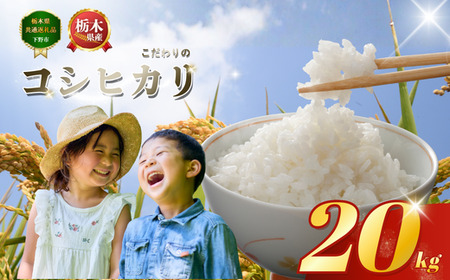 コシヒカリ こしひかり 約20kg | 栃木県 下野市