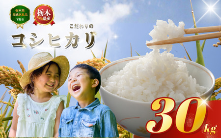 コシヒカリ こしひかり 約30kg | 栃木県 下野市