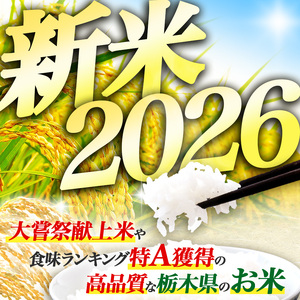 【先行予約】栃木県 下野市 コシヒカリ 玄米 20kg 米 	 																											　米