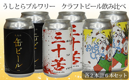 No.191 うしとらブルワリー クラフトビール飲み比べ6本セット