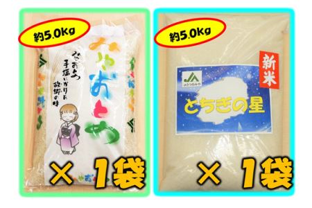No.142 栃木県産 みやおとめ・とちぎの星(精米)10.0kg 食べ比べセット