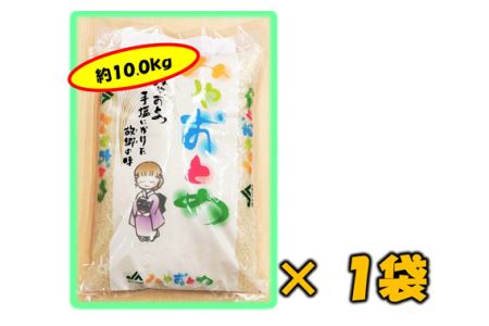 No.143 栃木県産 みやおとめ(精米)10.0kg