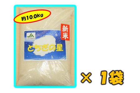 No.144 栃木県産 とちぎの星(精米)10.0kg