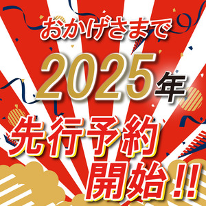 【先行予約】栃木県下野市産 スカイベリー（4パック） | いちご イチゴ フルーツ 果物 スカイベリー 大粒 新品種 栃木県 特産品 下野市 しもつけ市