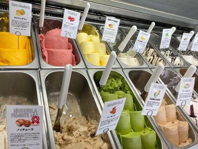 【下野ブランド】ジェラートアソート16個セット | 栃木県 下野市