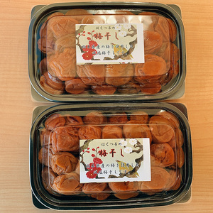 【 栃木県産 】梅干し 約600g | 栃木県 下野市