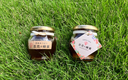 No.233 日本ミツバチの百花蜂蜜（2瓶）